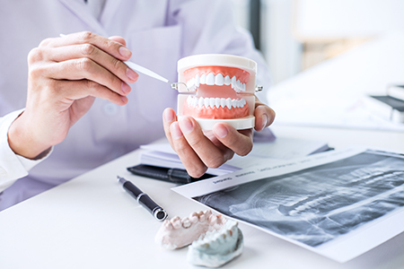 Dental Wellness Center of Florida