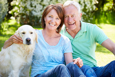 Dental Wellness Center of Florida