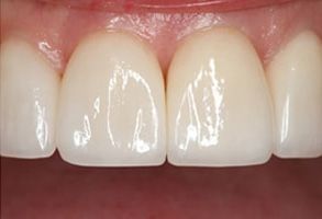 Dental Wellness Center of Florida