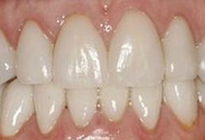 Dental Wellness Center of Florida