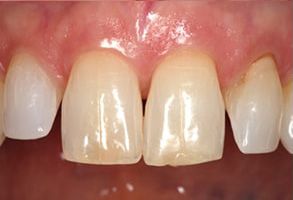Dental Wellness Center of Florida